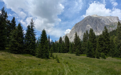 Da Cima Sappada alle Sorgenti del Piave sul sentiero naturalistico Piave